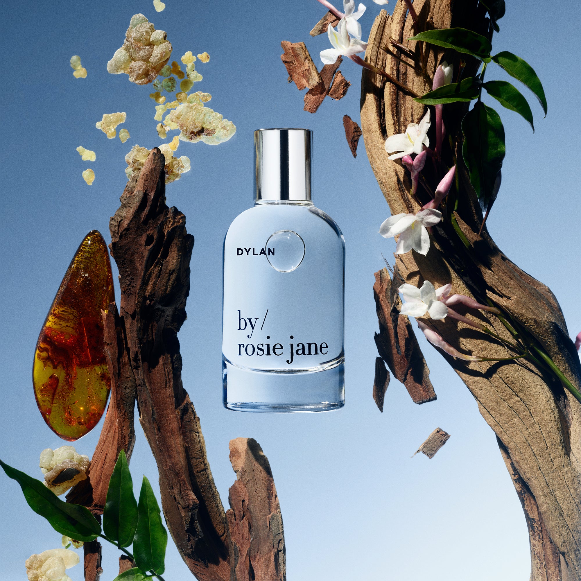 DYLAN PERFUME - Image 2