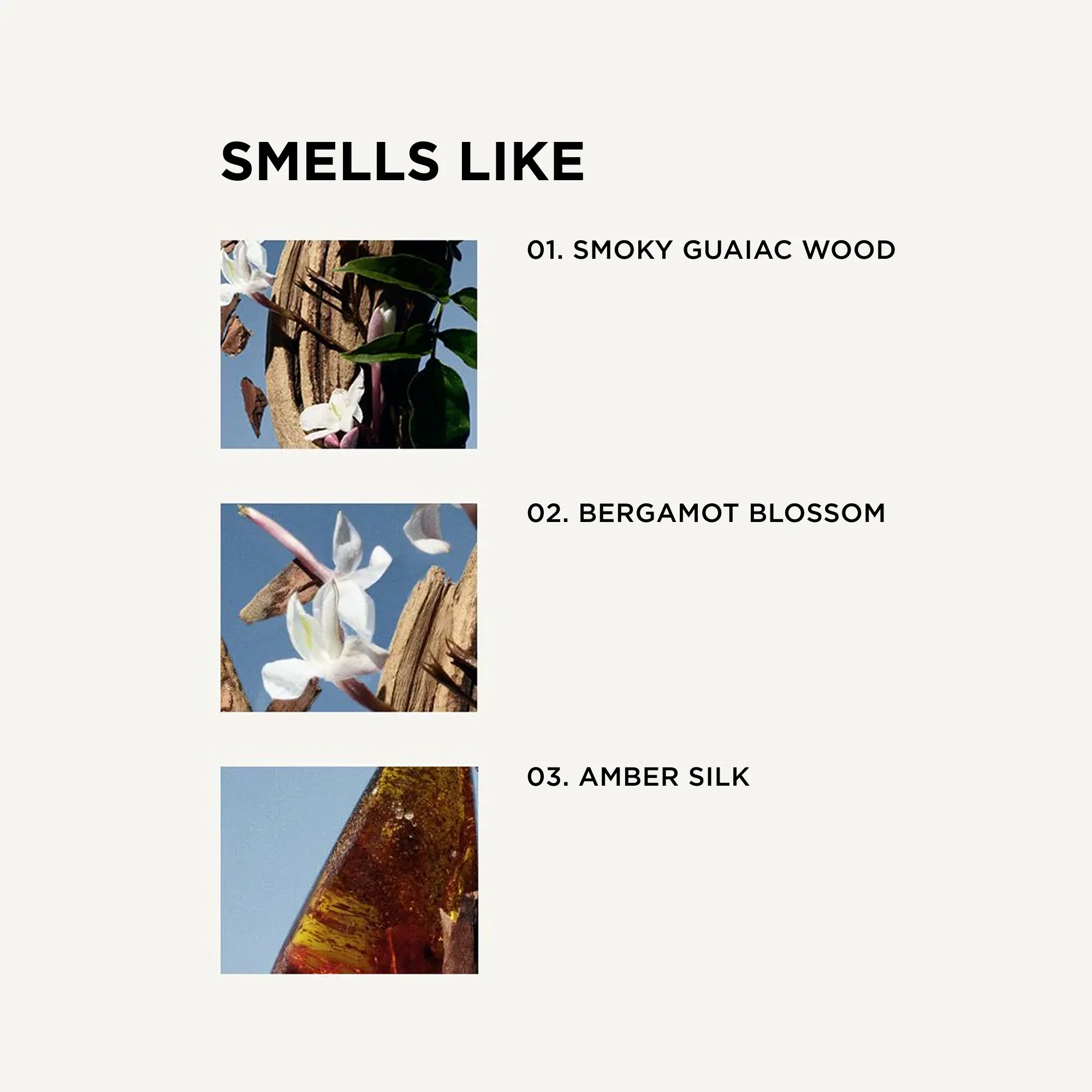 DYLAN PERFUME - Image 3