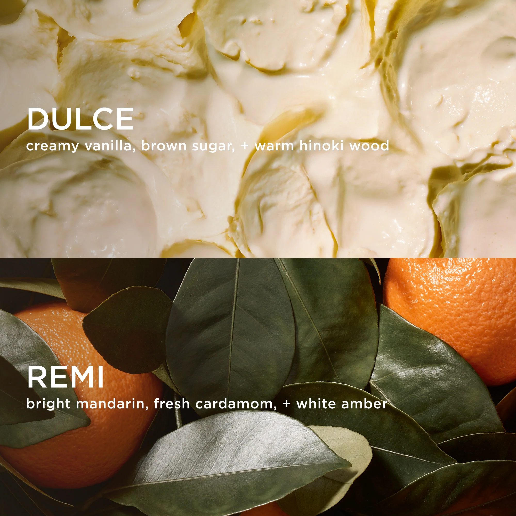 CITRUS WHIP LAYERING DUO - Image 2