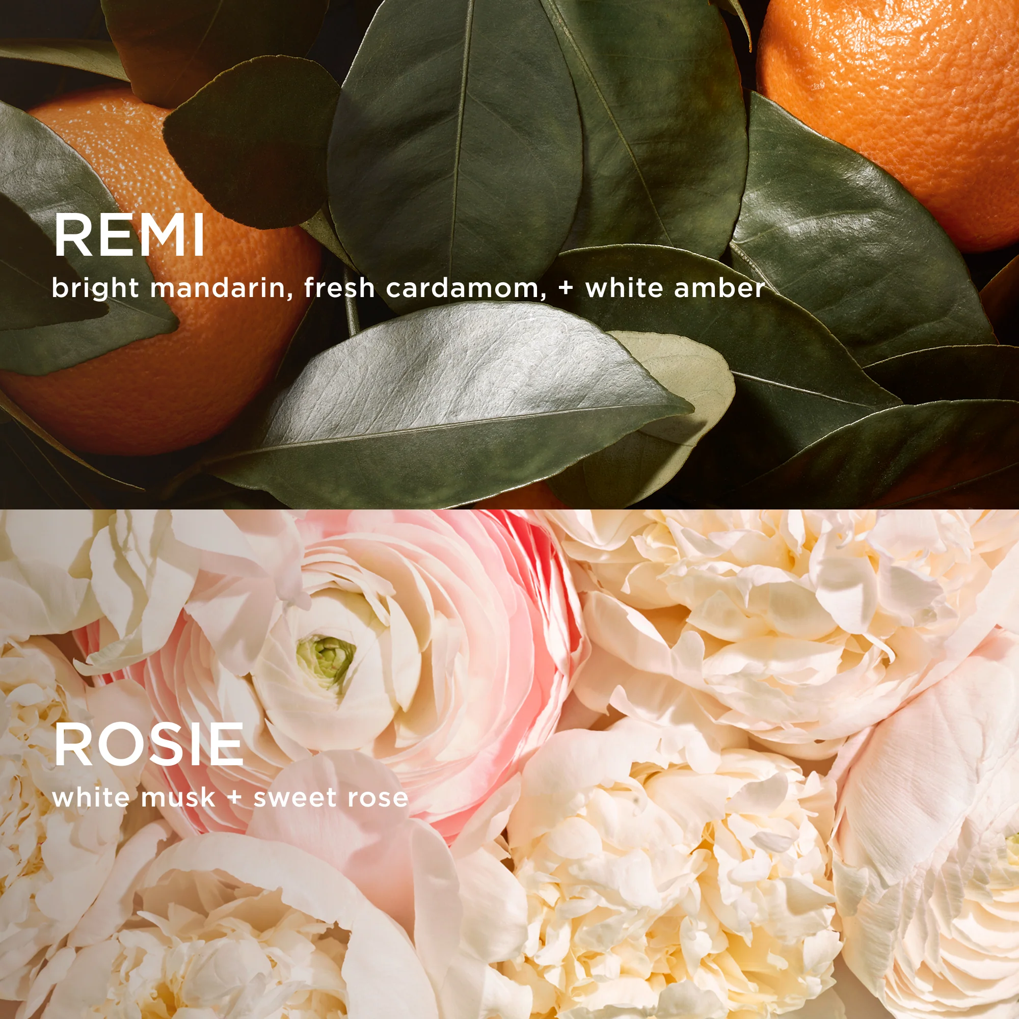 NAKED MANDARIN LAYERING DUO - Image 2
