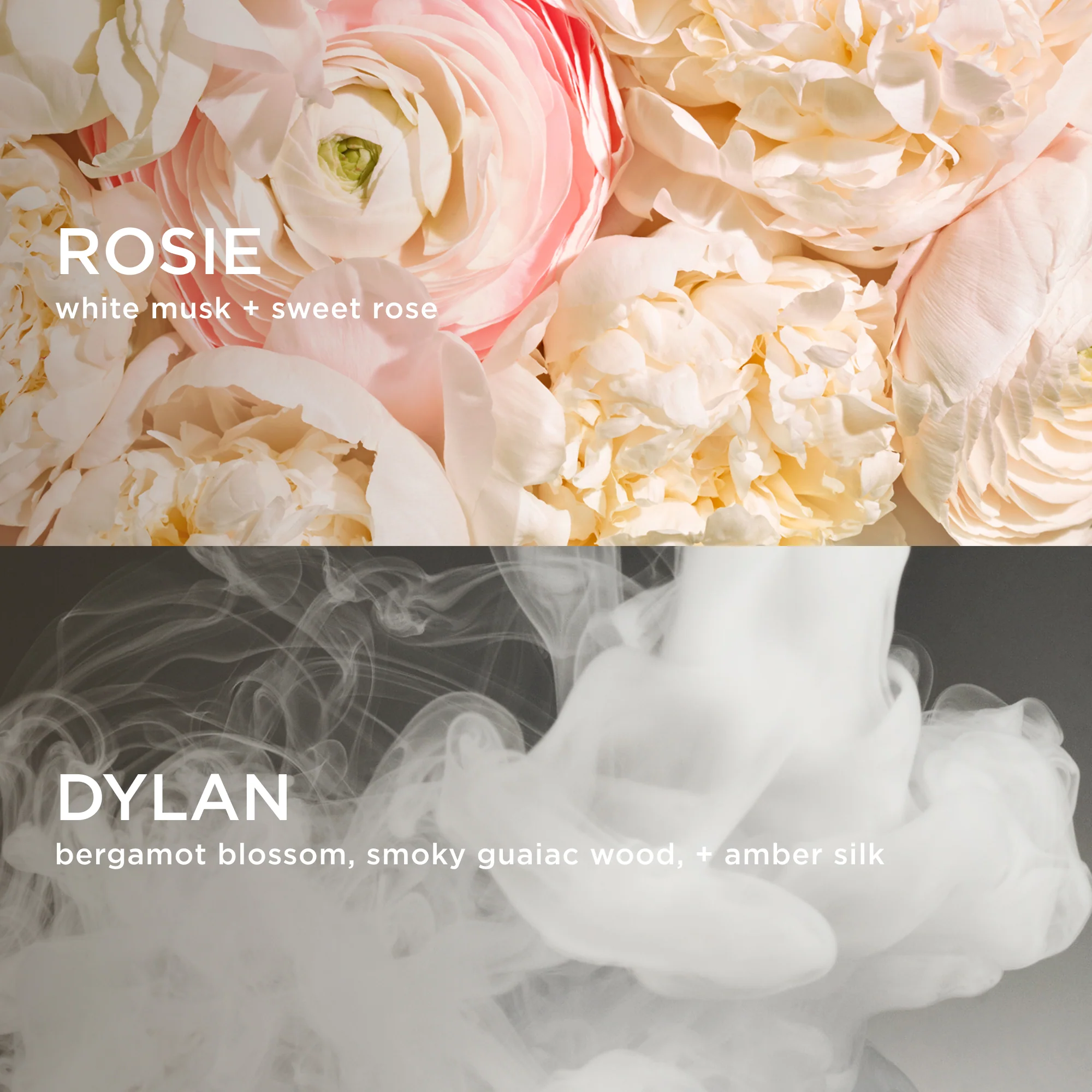 SMOKY ROSE LAYERING DUO - Image 2