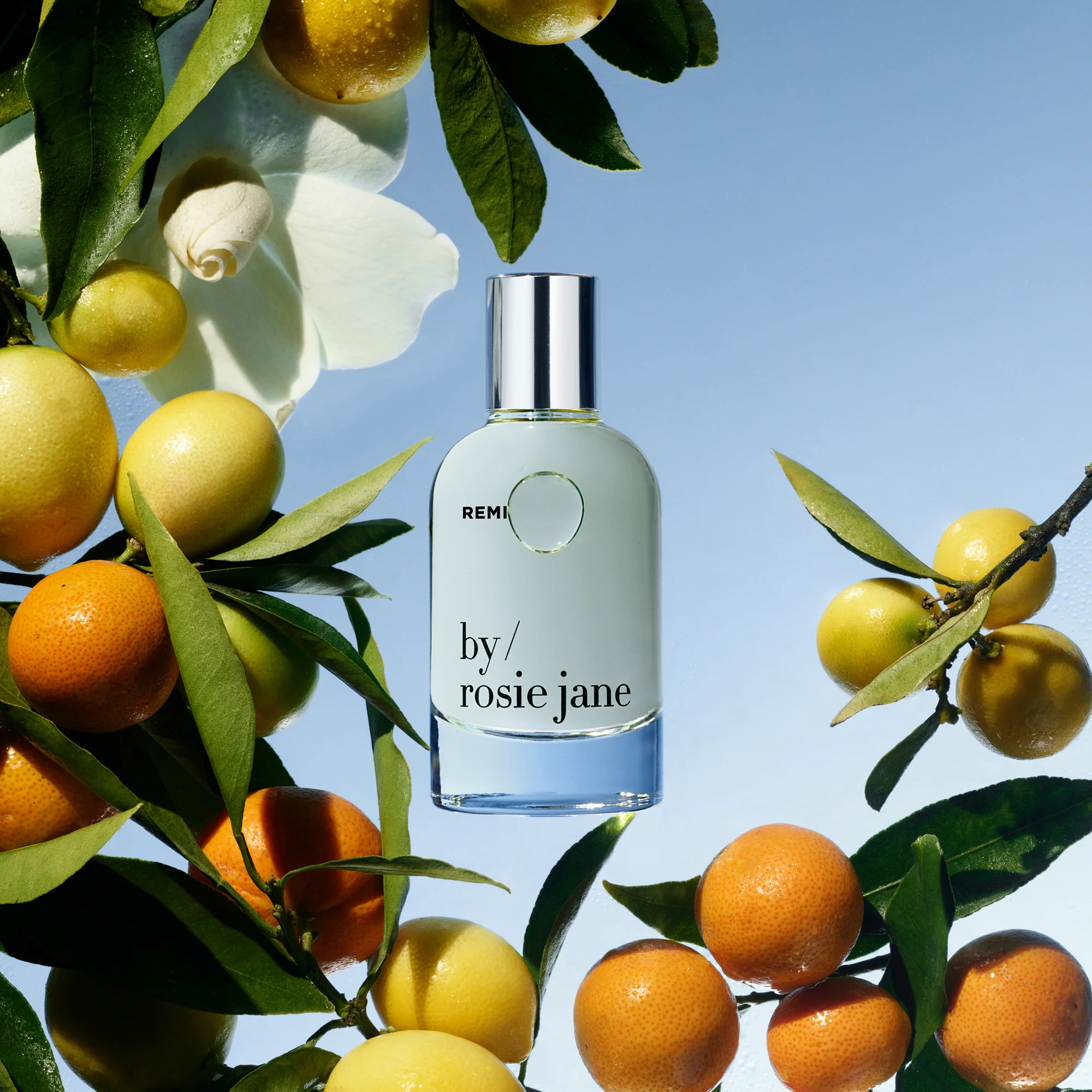 REMI PERFUME - Image 2